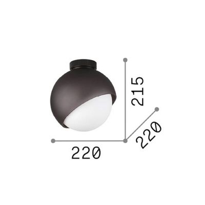 IDEAL LUX Bloom ceiling lamp, Ø 22 cm, black, metal/glass