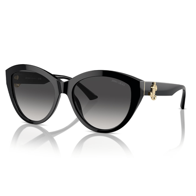 Jimmy Choo Kobieta Jimmy Choo JC5007 50008G Okulary przeciwsłoneczne Acetat Czarny Szary Pantos Normalna Zacieniony - Thumbnail 2