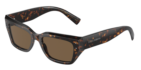 Dolce & Gabbana Woman Dolce & Gabbana DG4462 502/73 Sunglasses Acetate Turtle Brown Cat Eye Normal - Thumbnail 2