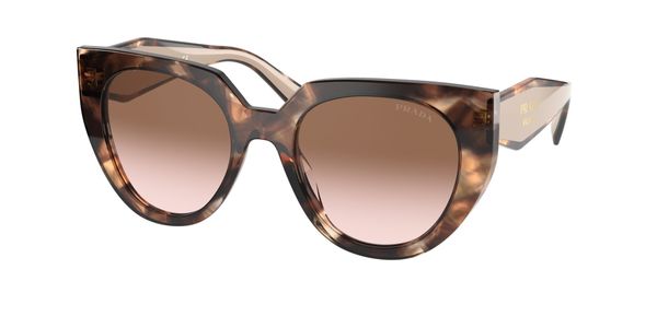 Prada Kobieta Prada PR 14WS 01R0A6 Okulary przeciwsłoneczne Acetat Żółw Brązowy Cat Eye Normalna Zacieniony