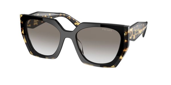 Prada Kobieta Prada PR 15WS 3890A7 Okulary przeciwsłoneczne Acetat Czarny Szary Kwadratowy Normalna Zacieniony