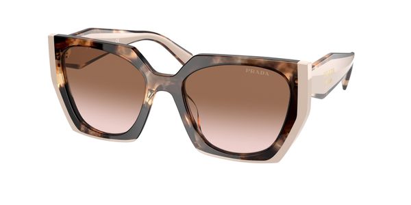 Prada Kobieta Prada PR 15WS 01R0A6 Okulary przeciwsłoneczne Acetat Żółw Brązowy Kwadratowy Normalna Zacieniony