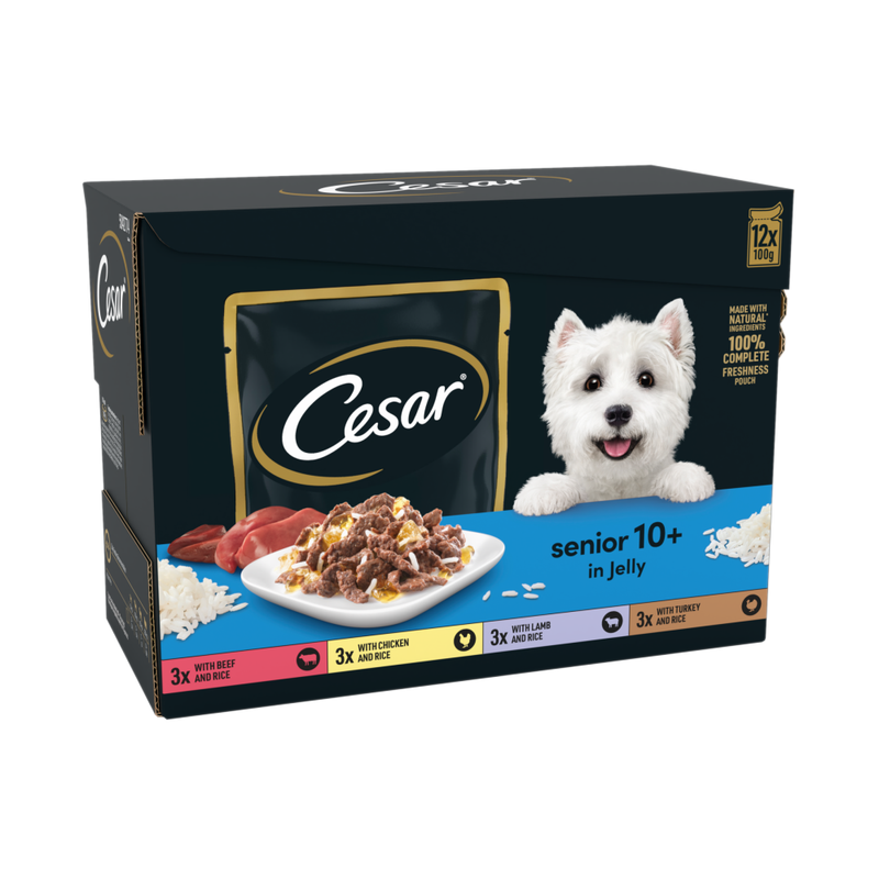 Cesar Senior Wet Dog Food in Jelly - Image 1