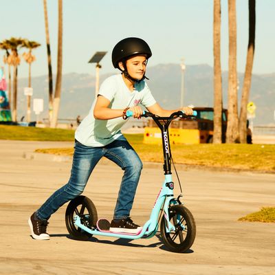 RAZOR Flashback BMX Style Kick Scooter - Blue, Blue