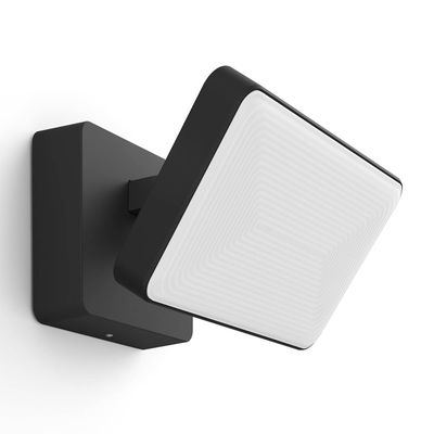 Philips Hue White and colour ambience Discover Outdoor Floodlight