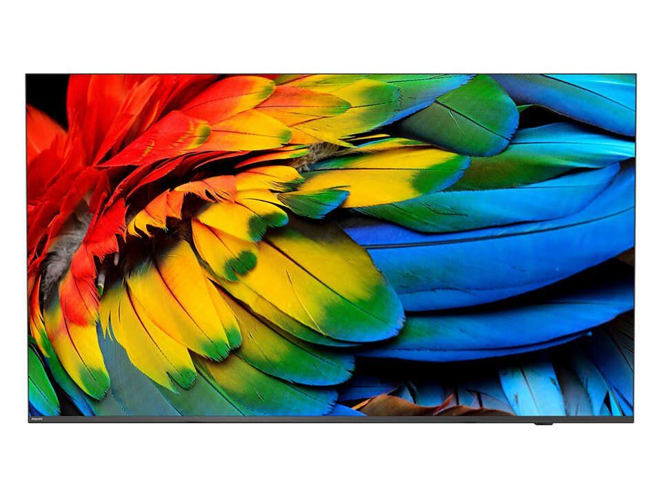 Philips 43HFL6214U 109.2 cm (43") 4K Ultra HD Smart TV Wi-Fi Anthracite 400 cd/m Rollable display - Image 1