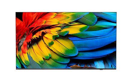 Philips 58HFL6214U/12 TV 147.3 cm (58") 4K Ultra HD Wi-Fi Anthracite 400 cd/m