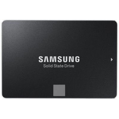 EVO Series 2.5-inch Solid State Drive - Black / 250GB