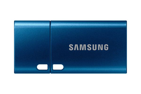 SAMSUNG USB Type-C Memory Stick - 256 GB, Blue, Blue