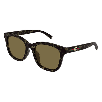 Gucci Kobieta Gucci GG1984SK 003 Okulary przeciwsłoneczne Wstrzyknięty Hawana Brązowy Okrągły - Thumbnail 2