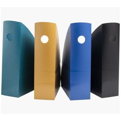 Exacompta NeoDeco Magazine File Set 266x82x305mm Assorted Colours (Pac
