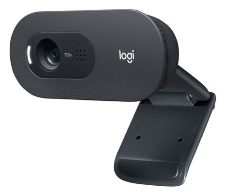 Logitech C505e